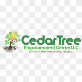 Logo - Graphic Design, HD Png Download - cedar tree png