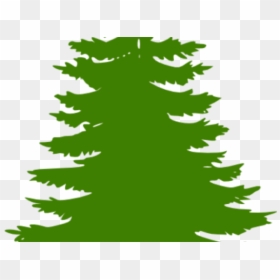 Evergreen Tree Silhouette, HD Png Download - cedar tree png