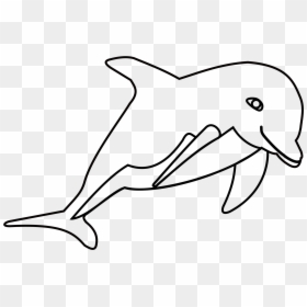 Dolphin Clipart Black And White - Outline Picture Of Dolphin, HD Png Download - dolphin clipart png