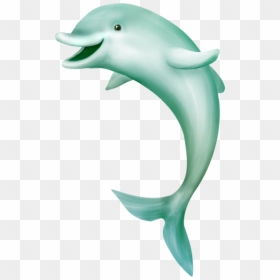 Transparent Dolphin Silhouette Png - Dolphin Fish Image Png, Png Download - dolphin clipart png