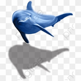 Transparent Dolphins Clipart - Dolphin Png, Png Download - dolphin clipart png