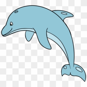 Baby Dolphin Clipart - Dolphin Clipart Transparent Background, HD Png Download - dolphin clipart png
