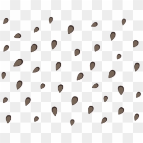 Line Angle Point - Clipart Transparent Watermelon Seeds, HD Png Download - watermelon seed png