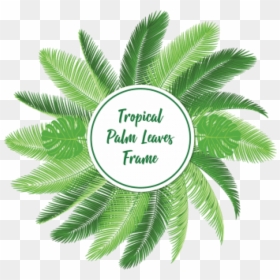 Free Png Download Palm Leaf Vector Png Images Background - Vector Leaf Background Png, Transparent Png - tropical background png