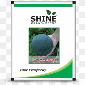 Shine Brand, HD Png Download - watermelon seed png