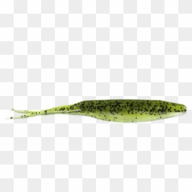 Picture 1 Of - Beloniformes, HD Png Download - watermelon seed png