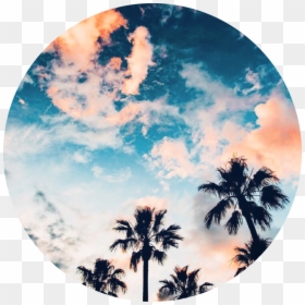 #aesthetic #background #circle #sticker #tropical #trees - Photography Aesthetic Tropical Background, HD Png Download - tropical background png