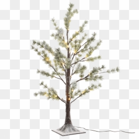 Led Pine Tree Snowy, - Kaemingk Christmas Tree Snow Pine, HD Png Download - snowy trees png