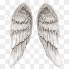 Angel Wings Png Transparent Image - Angels Of God Wings, Png Download - angel wings .png
