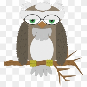 Owl Wisdom Bird Of Prey Free Photo - Cartoon, HD Png Download - owl vector png