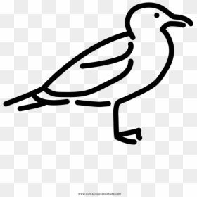 Transparent Gaviota Png - Illustration, Png Download - varita magica png