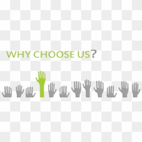 Thumb Image - Choose, HD Png Download - why choose us png