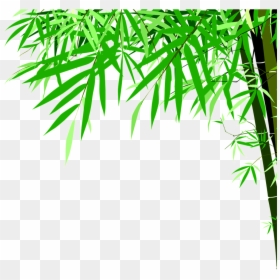 Green Bamboo High Definition Beauty Png - Background Bambu Png Vector, Transparent Png - bamboo vector png