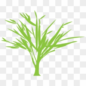 Tree Silhouette Euclidean Vector Green - Portable Network Graphics, HD Png Download - bamboo vector png