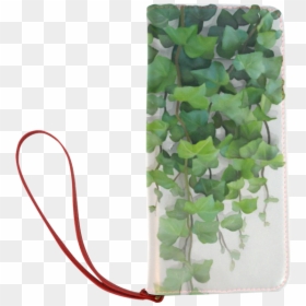 Watercolor Vines, Climbing Plant Women"s Clutch Wallet - Perforate St John's Wort, HD Png Download - watercolor plants png