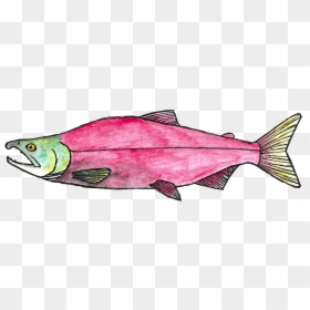 Pink Arrow Png -call To Action - Fisch Malvorlage, Transparent Png - sketch arrow png