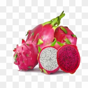 Dragon Fruit Png Image , Png Download - Dragon Fruit Transparent Background, Png Download - dragon fruit png