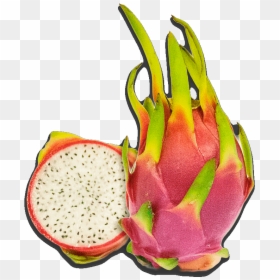 Dragon Fruit Pictures Free Dragon Fruit Clipart - Pitaya, HD Png Download - dragon fruit png