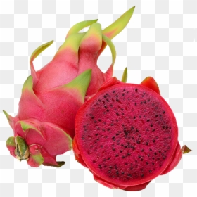 Does Dragon Fruit Look Like, HD Png Download - dragon fruit png