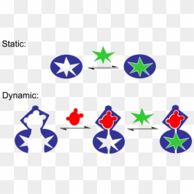 Molecular Recognition Static Vs Dynamic Cartoon - Static And Dynamic Molecular Recognition, HD Png Download - recognition png