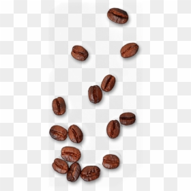Thumb Image - Single Coffee Bean Png, Transparent Png - coffee .png