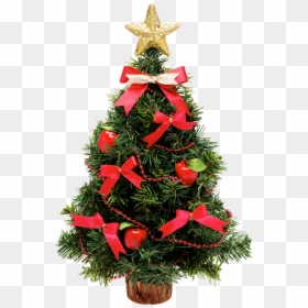 Arvore De Natal - Arvore De Natal Png, Transparent Png - arvore de natal png