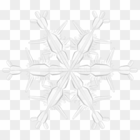 Plant,symmetry,black And White,snowflake,flower - Hot Chocolate, HD Png Download - black snowflake png