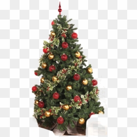 Árvore De Natal - Christmas Tree, HD Png Download - arvore de natal png