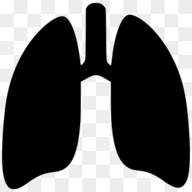 Transparent Lung Clipart - Lungs Vector Png Icon, Png Download - lung png
