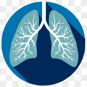 Transparent Respiratory System Clipart - Human Lungs Clipart, HD Png Download - lung png