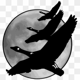 Transparent Moon - Birds On Moon Clipart Black & White, HD Png Download - moon .png