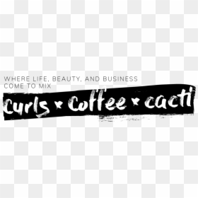 Kc Beauty Curly Stylists In Kansas City Scribble Blog - Calligraphy, HD Png Download - black scribble png