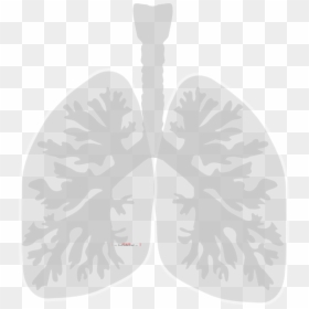 Lung Cancer, HD Png Download - lung png