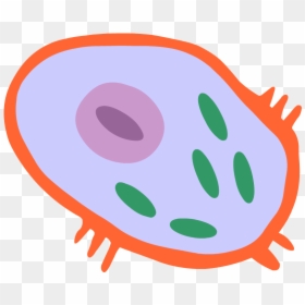 Human Cell Png - Transparent Human Cell Clipart, Png Download - human cell png