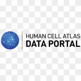 Portal 2, HD Png Download - human cell png