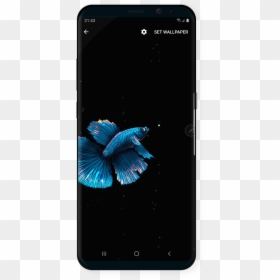 Smartphone, HD Png Download - beta fish png