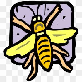 Free Vector Insect - Bees, HD Png Download - bee vector png