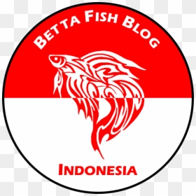 Feeding Your Betta - Emblem, HD Png Download - beta fish png