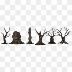 Trees, Forest, Creepy, Fantasy, Aesthetic, Kahl, Scary - Fantasy Trees Transparent, HD Png Download - scary tree png