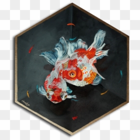 Twin Goldfish, HD Png Download - beta fish png