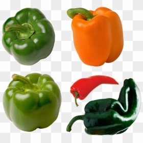 Pepper Orange, HD Png Download - chili peppers png