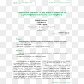 Document, HD Png Download - neblina png
