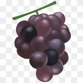 Grapes Mesh Free Vector Graphics Free Photo - Grapes Mesh, HD Png Download - grapes vector png