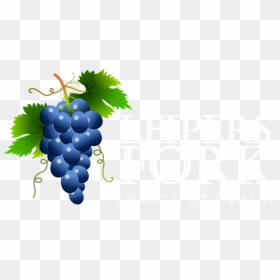 Blue Grapes Clipart, HD Png Download - grapes vector png