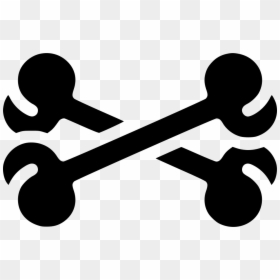 Coral Calcium Computer Icons Bone, HD Png Download - coral clipart png