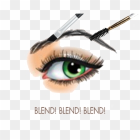 Eye Lash Images - Eyebrow, HD Png Download - cartoon eyelashes png