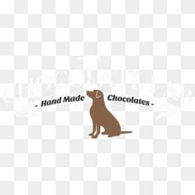 Conscious Consumers, HD Png Download - chocolate lab png