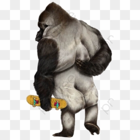 Gorilla Clipart Realistic - Animals Skateboarding Art, HD Png Download - gorilla clipart png