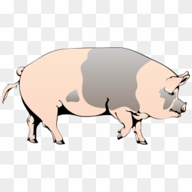 Pig, Barn, Farm, Animal, Spotted, Slops - Pig Clipart, HD Png Download - farm animals clipart png
