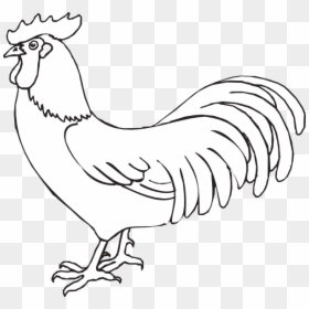 Rooster Peter Denies Jesus Coloring, HD Png Download - farm animals clipart png